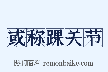 或称踝关节是什么意思的图片